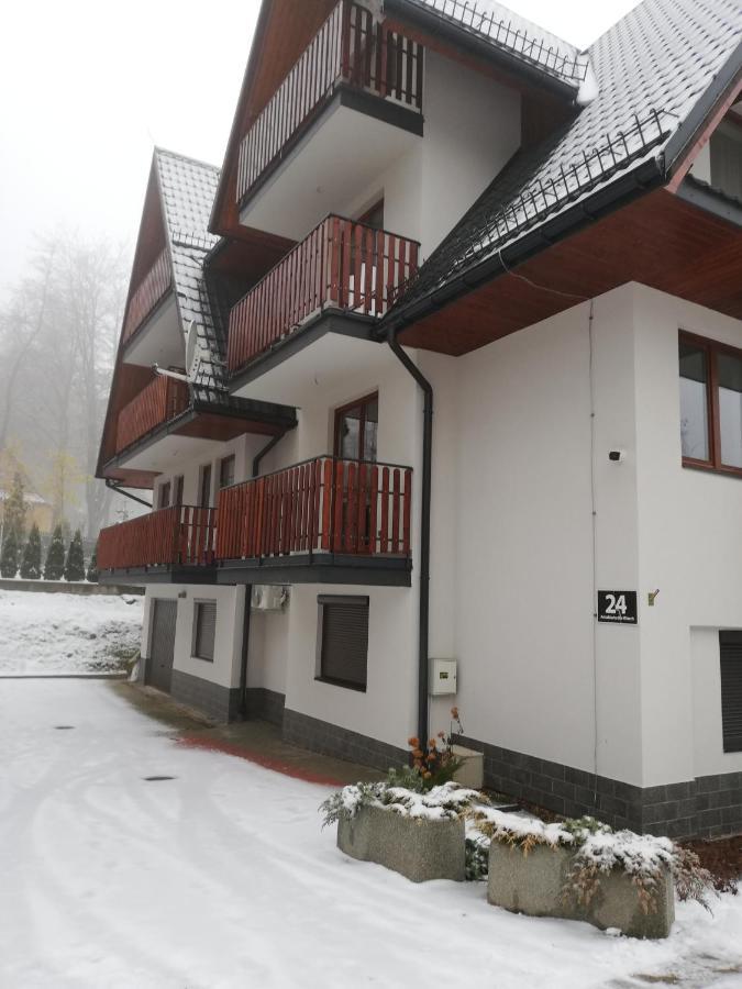זקופאנה Apartament Antolka מראה חיצוני תמונה